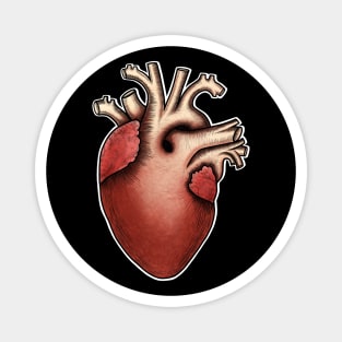 Human heart anatomy ,i love my heart Magnet